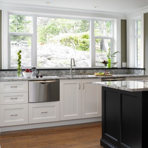A well proportioned window frames a serene rockscape embellished with lichens and mosses