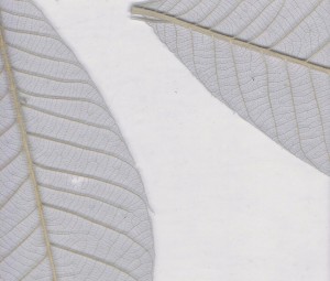 Magnolia leaves in resin